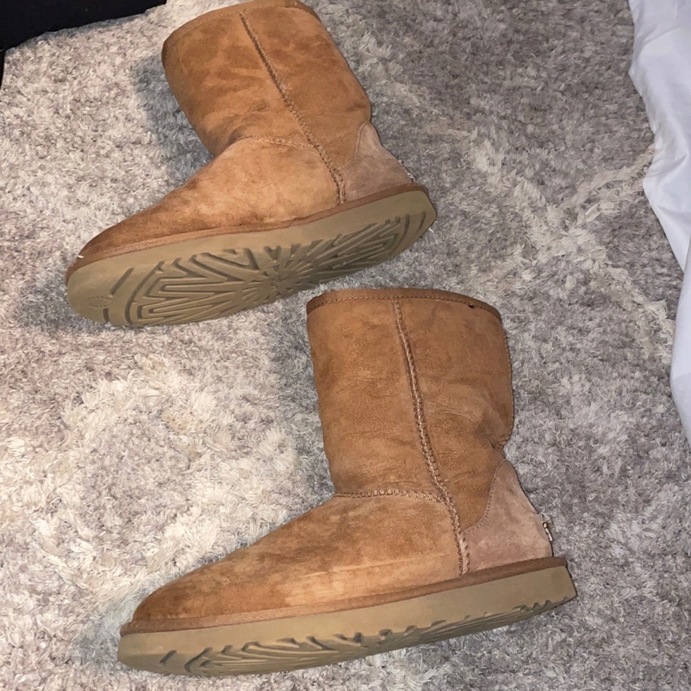 Tan UGGs